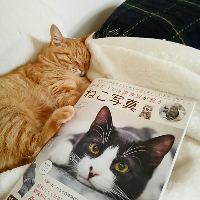 mayutan.さんの実例写真