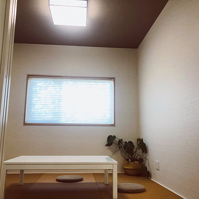 shuukaさんの実例写真