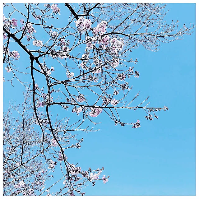 simple-essenceさんの部屋