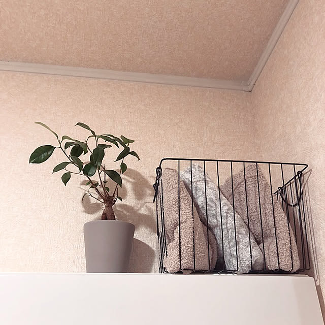 Asukaさんの実例写真