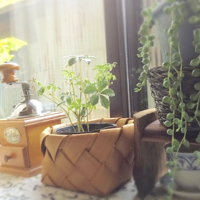 hiroさんの実例写真