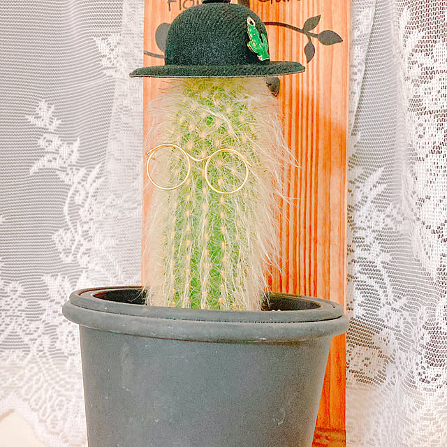 Hanakaさんの部屋