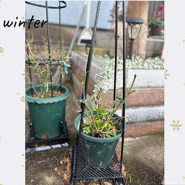 CoCo0617さんの部屋