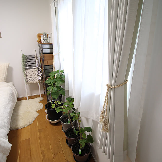 Kaneyukiさんの部屋