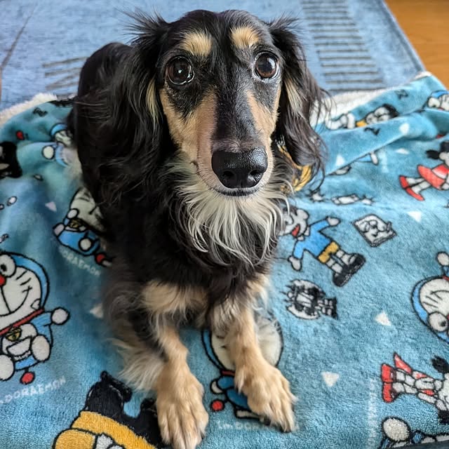 momozouさんの実例写真