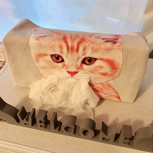 meowさんの実例写真