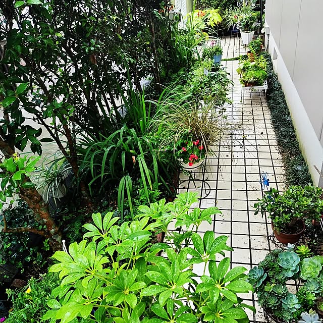 katさんの部屋