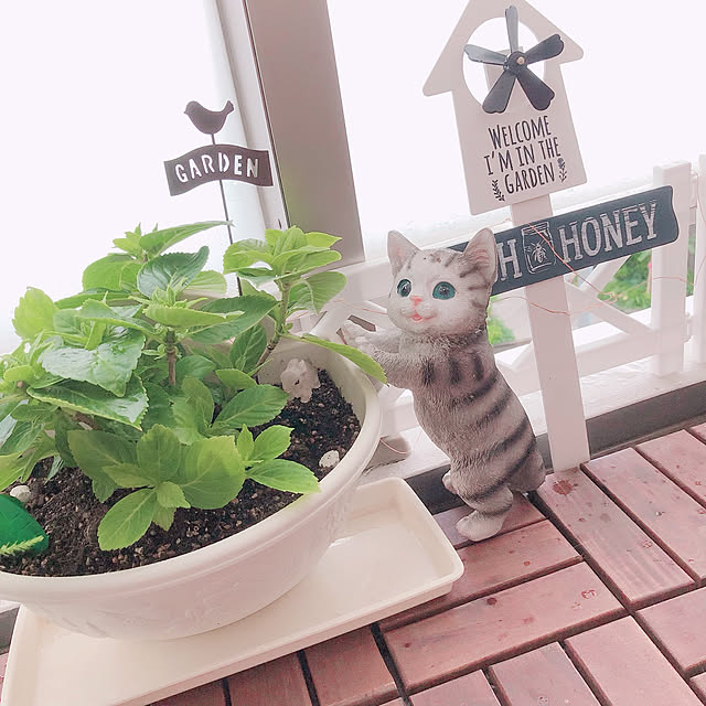 tina_sa_0さんの実例写真