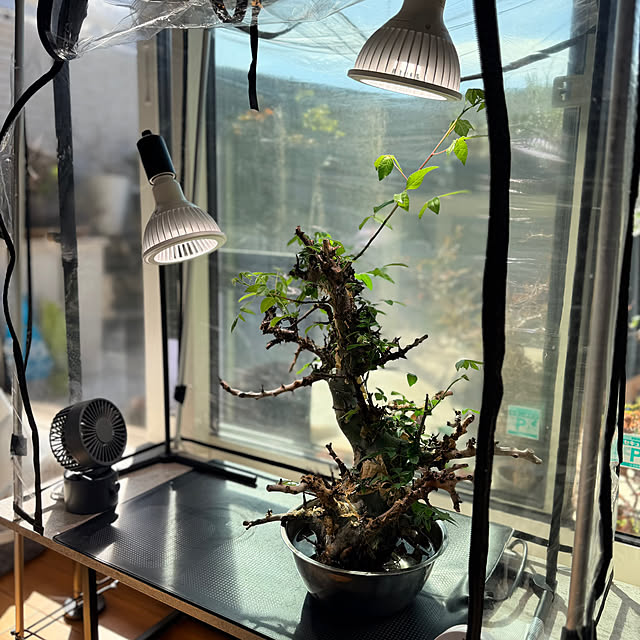 nuruiさんの部屋