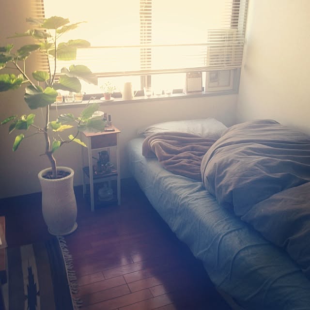 yknさんの実例写真