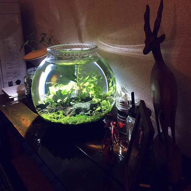 tomchchさんの実例写真