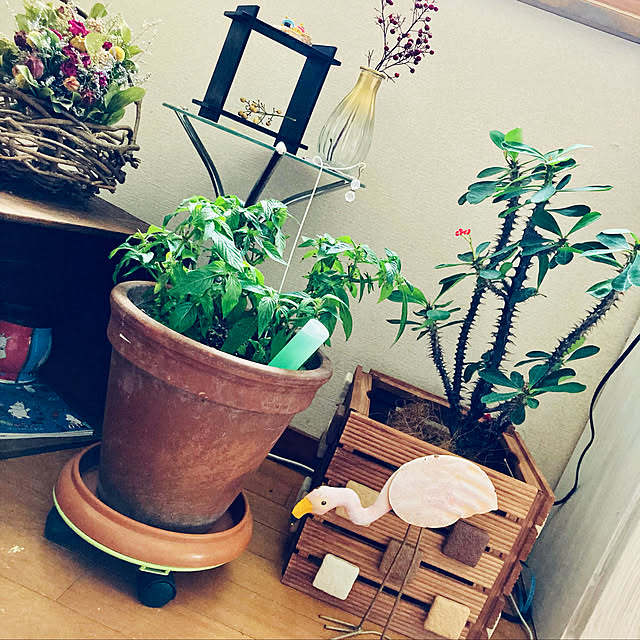 CoCo0617さんの実例写真