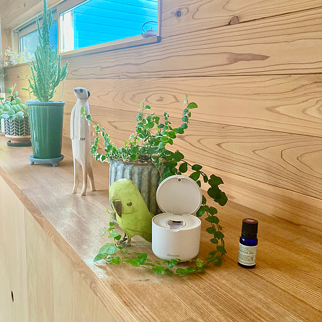 green.green.greenさんの部屋