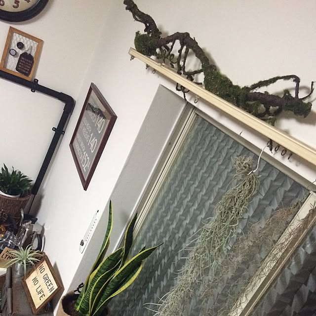 KOEDAさんの実例写真