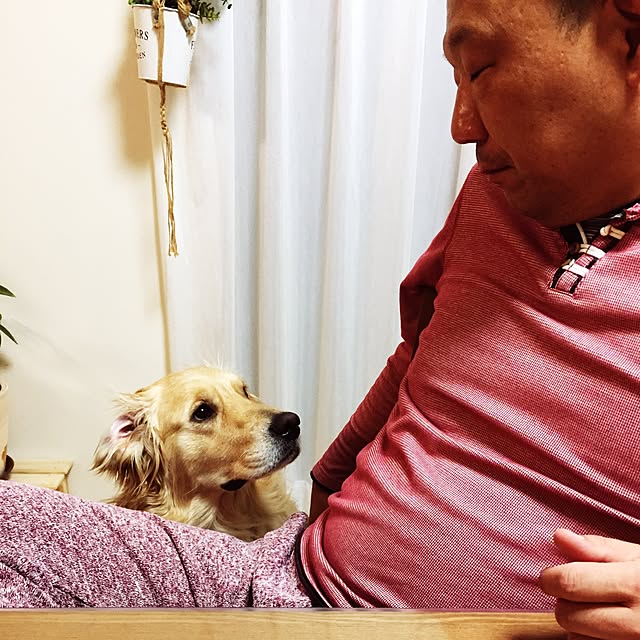 Kazueさんの実例写真
