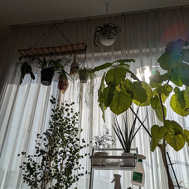 naoさんの実例写真