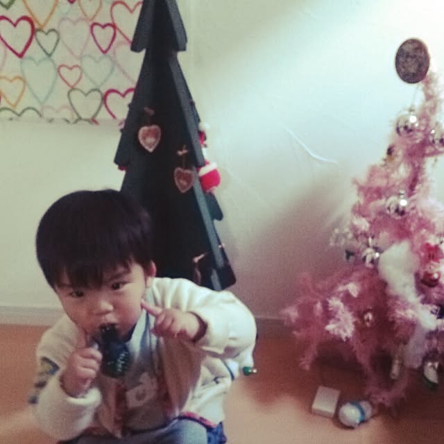 玄関/入り口/クリスマスのインテリア実例 - 2015-12-04 09:26:18