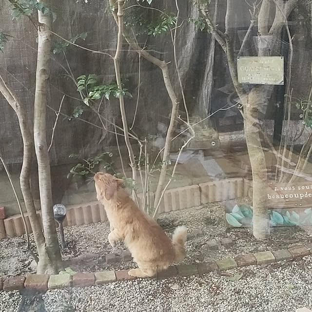 mori_6_12さんの部屋