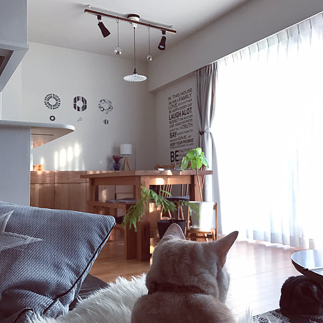 hiyupan88さんの実例写真
