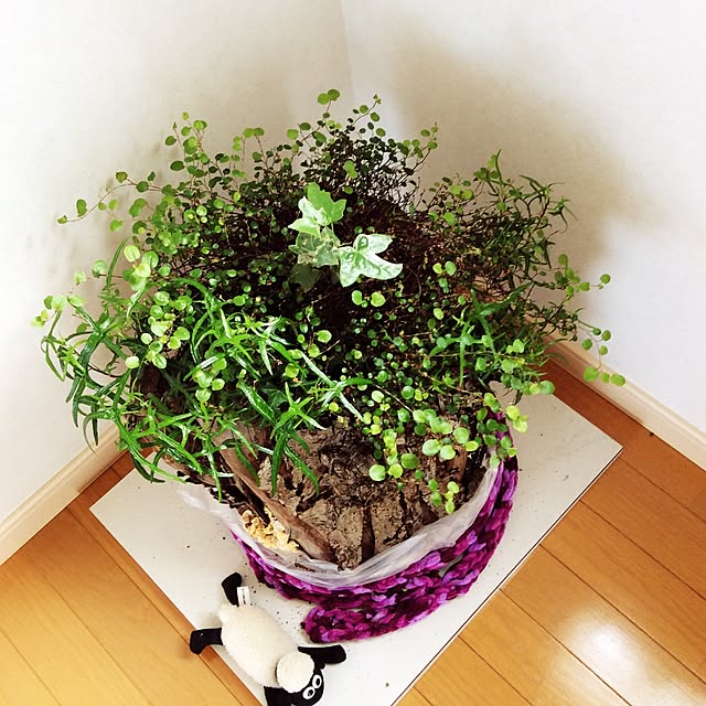 実例写真