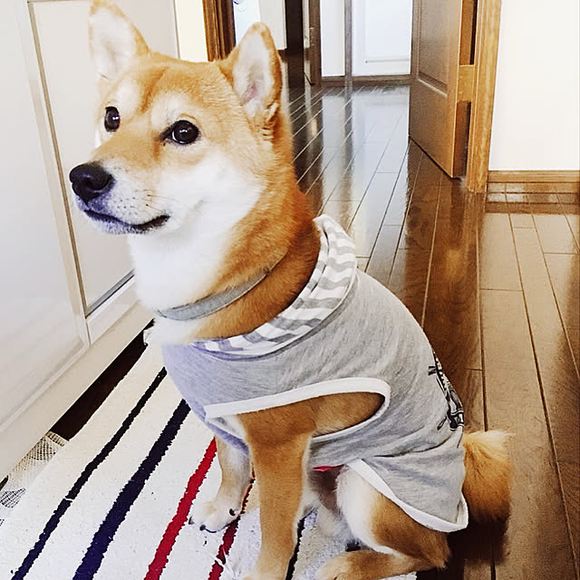 tanyuumoさんの実例写真