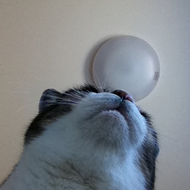natunatuaさんの実例写真
