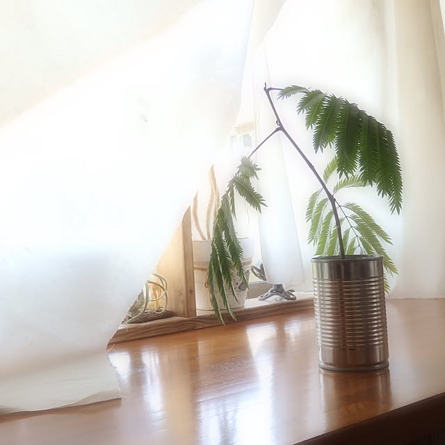NORAさんの実例写真