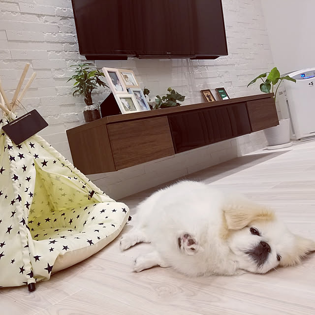 Arahimaさんの実例写真