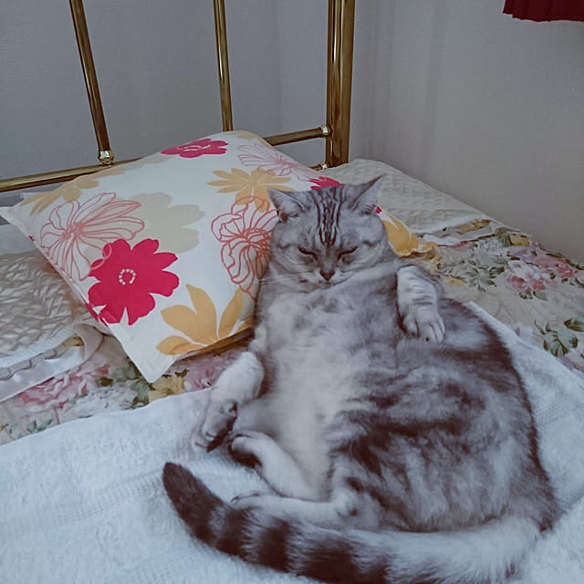 machikomamaさんの実例写真