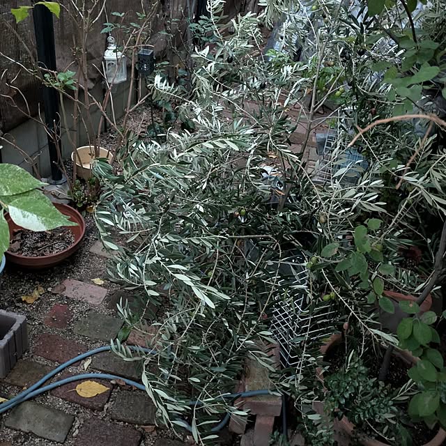 mori_6_12さんの部屋