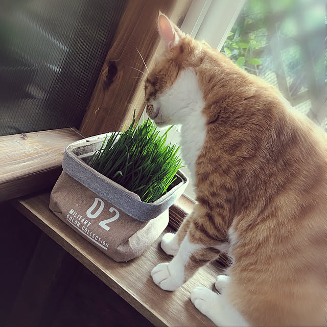rikoさんの実例写真