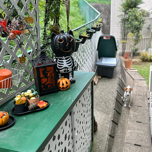 kittyさんの部屋