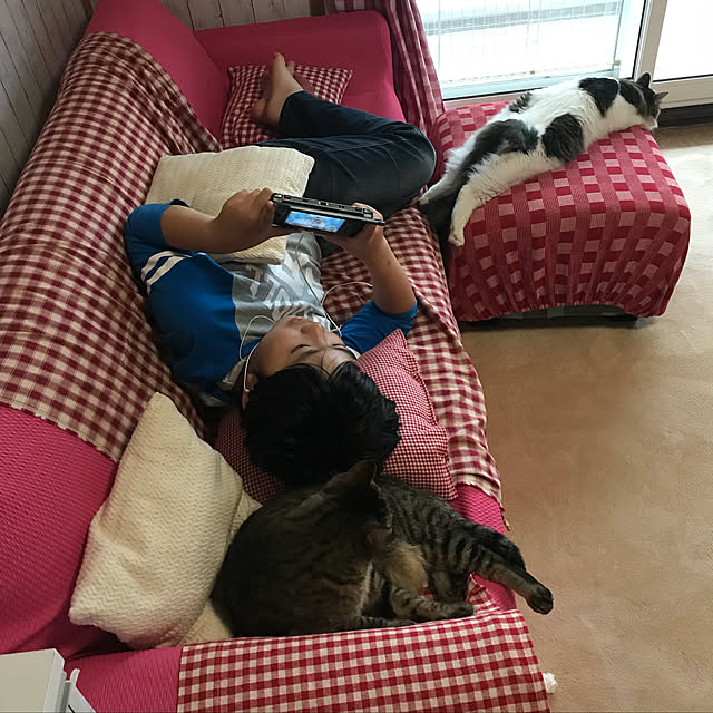 maruさんの実例写真