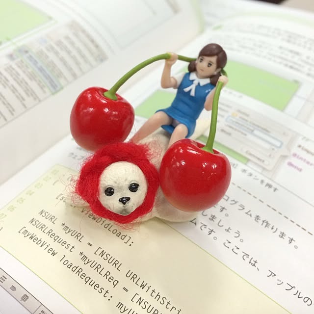 Ballさんの実例写真