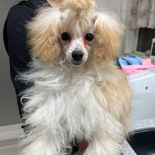 AYUKOさんの部屋