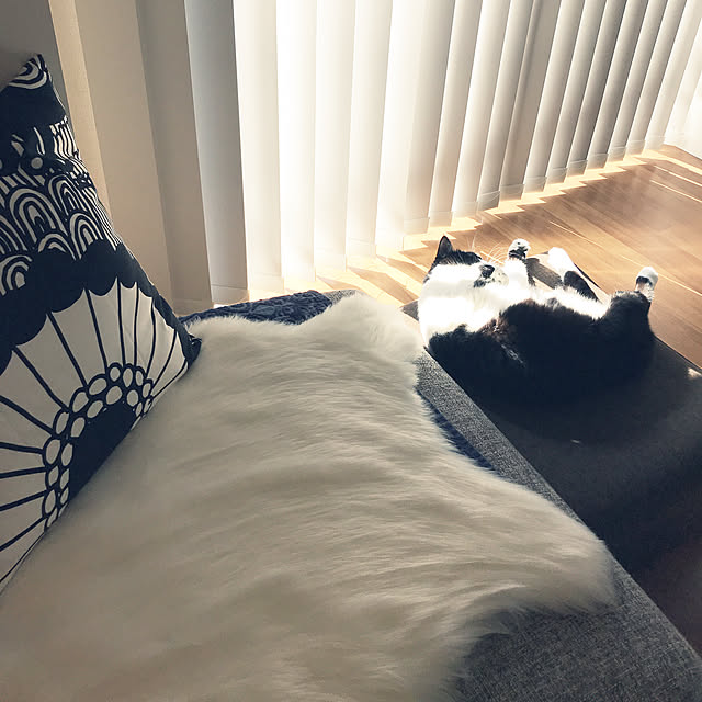 RIKU101さんの実例写真