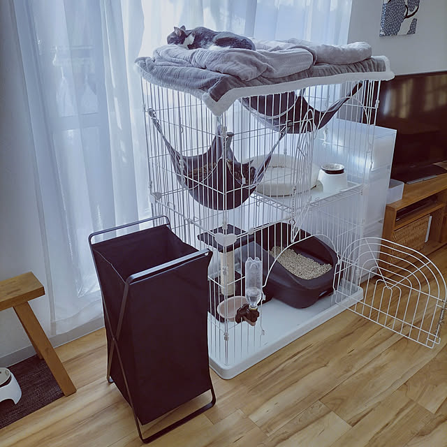 hihaさんの実例写真