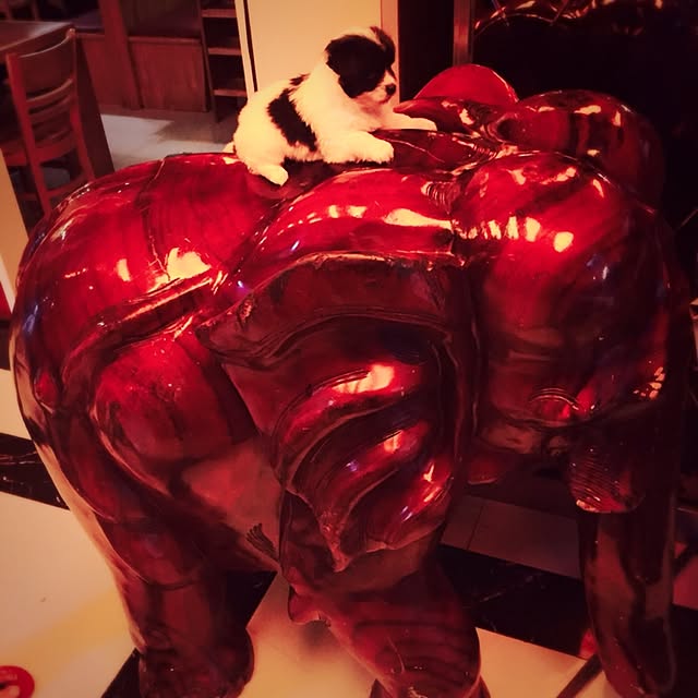 MARIさんの実例写真