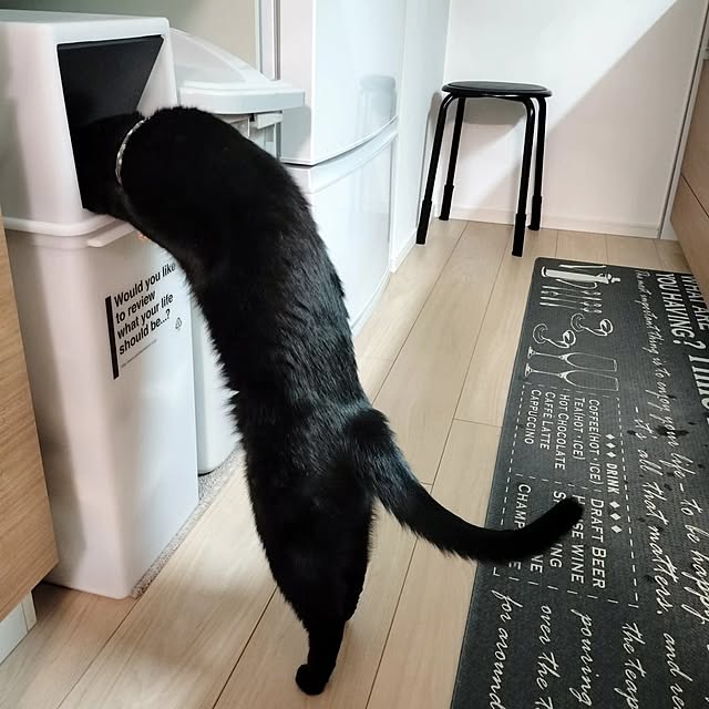 sakuraさんの部屋