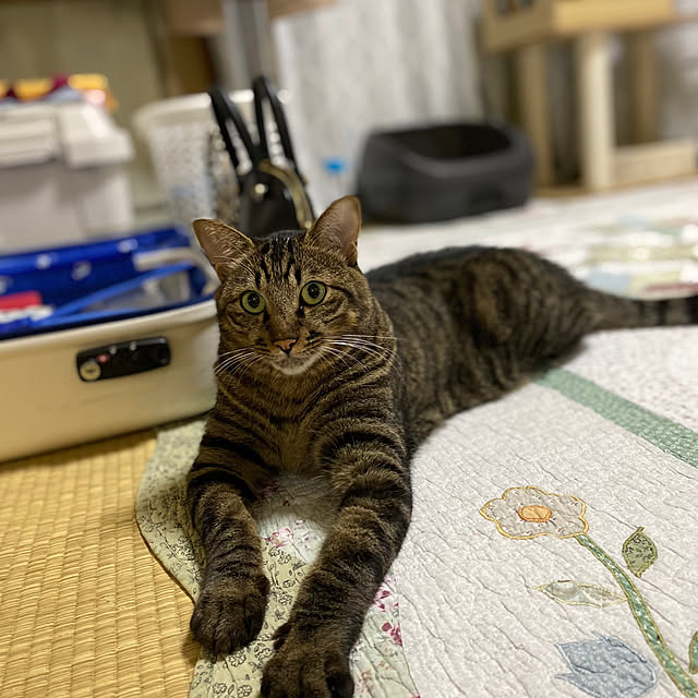 Rubyさんの部屋
