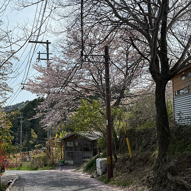zuccoさんの部屋