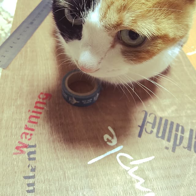 aym0418さんの実例写真