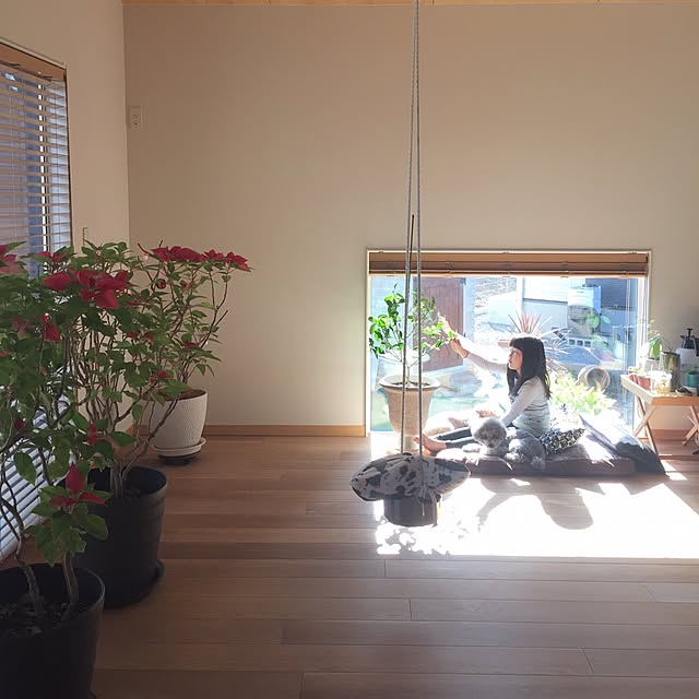 amiagramさんの実例写真