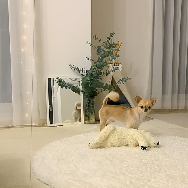 haruhinaさんの実例写真