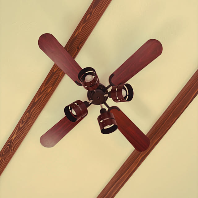 micaさんの実例写真