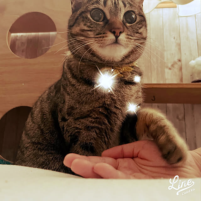 Mさんの実例写真