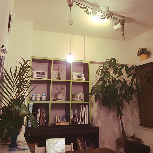 kentaro0321さんの実例写真
