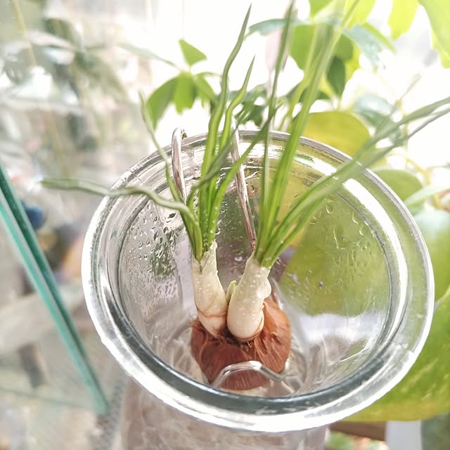 mi-saさんの部屋