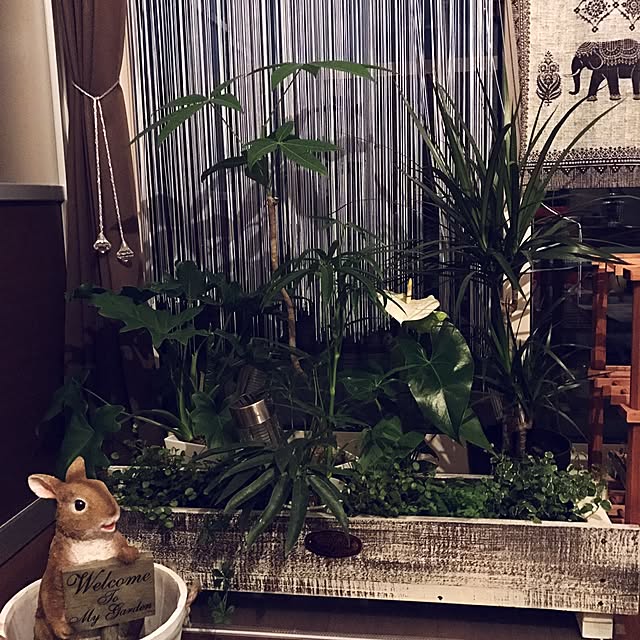 naaa.sakaiさんの実例写真