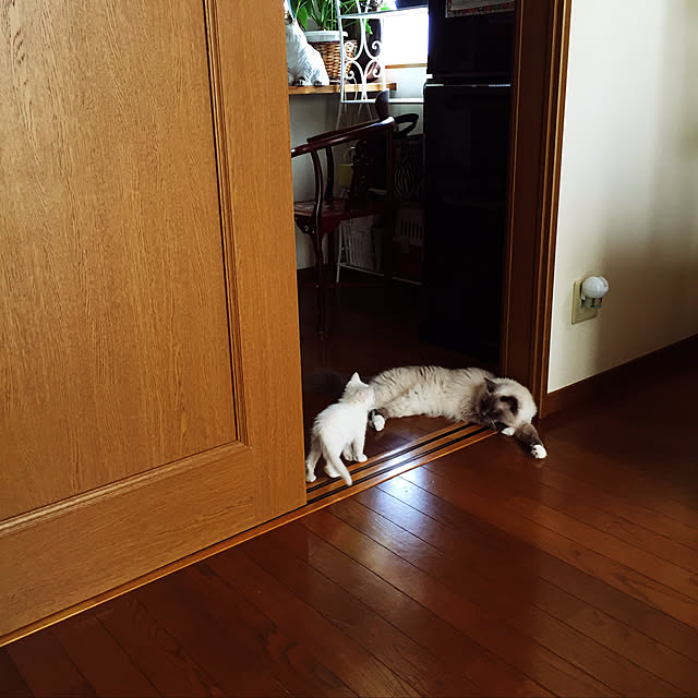 emergencyさんの実例写真